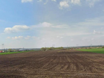 Teren intravilan de vânzare – 33.700 mp Gornești, com. Iepuresti, Giurgiu